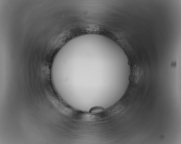 X0000111630614200907311229