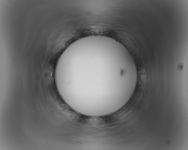 X0000111630615200907311229