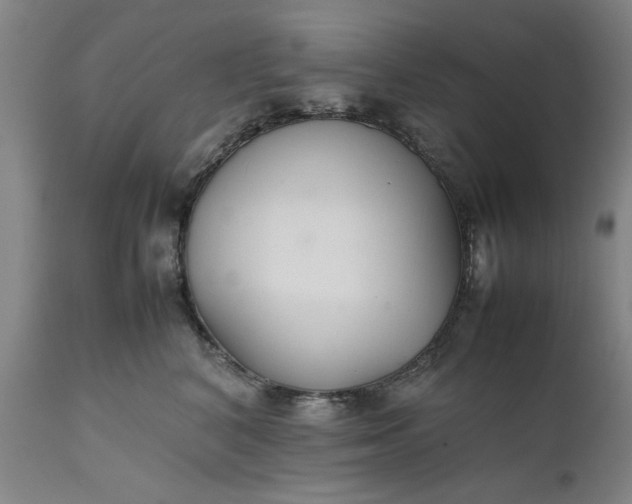 X0000111630616200907311229