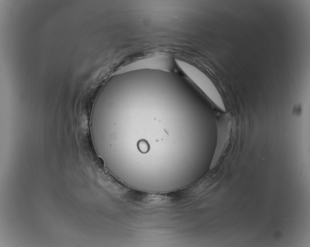 X0000111630617200907311229