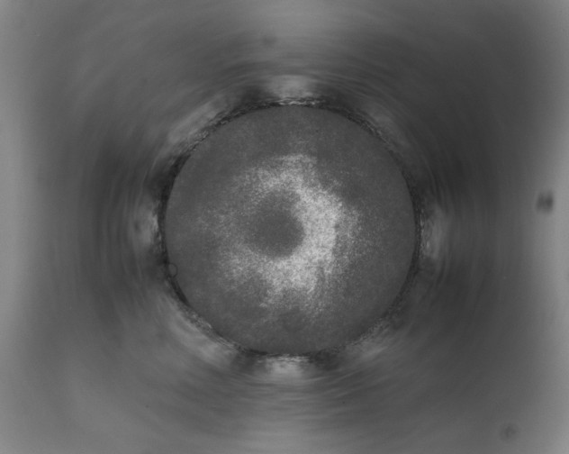 X0000111630618200907311229