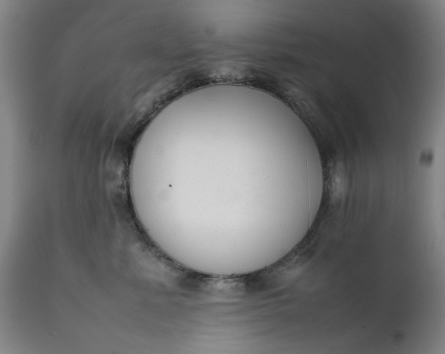 X0000111630619200907311229