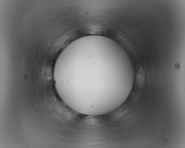 X0000111630620200907311229