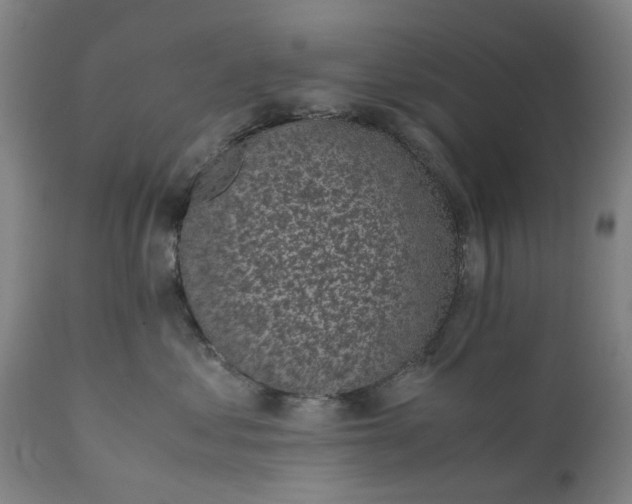 X0000111630621200907311229