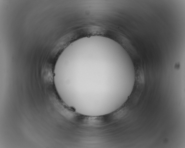 X0000111630622200907311229