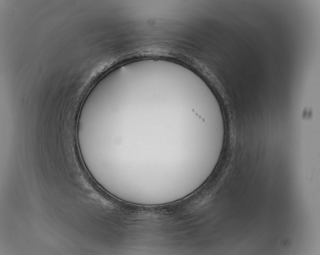 X0000111630625200907311228