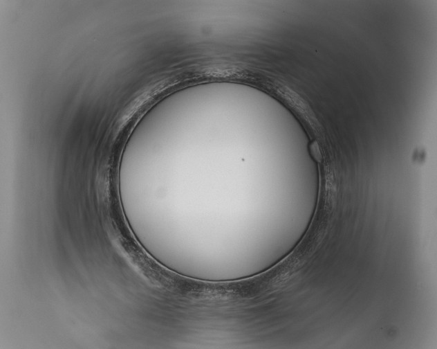 X0000111630626200907311228