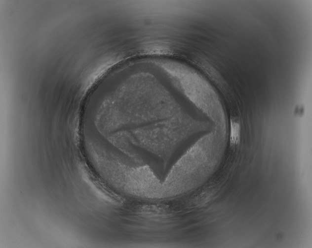 X0000111630627200907311228