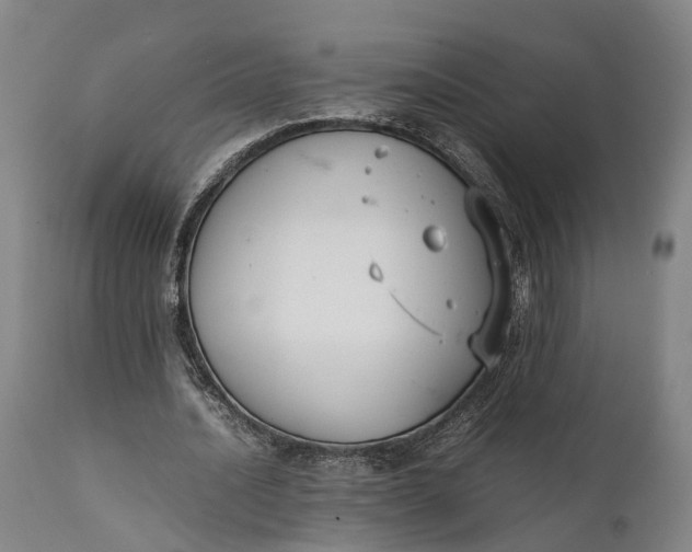 X0000111630628200907311228