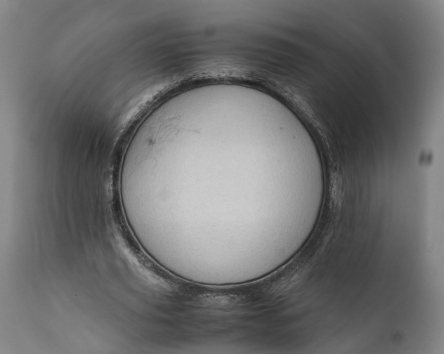 X0000111630629200907311228