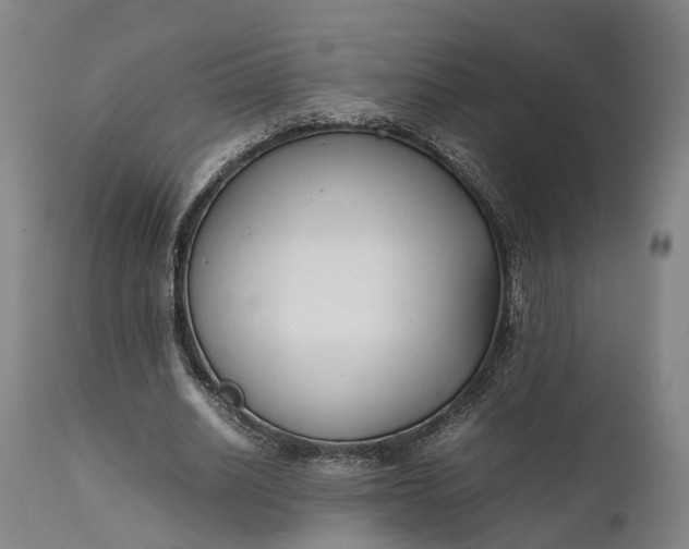 X0000111630630200907311228