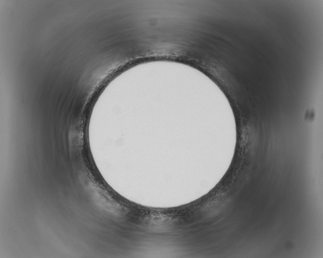 X0000111630632200907311228