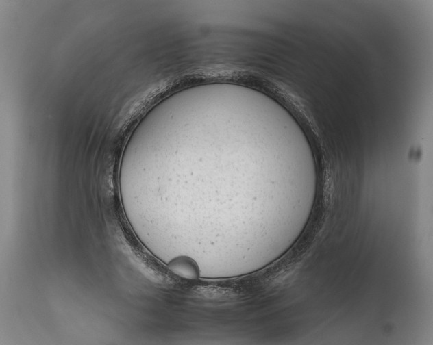 X0000111630633200907311228