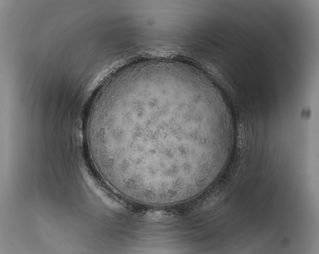 X0000111630634200907311228