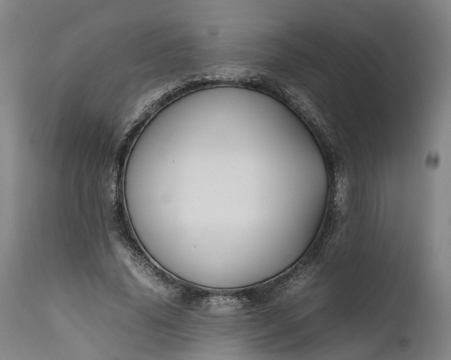 X0000111630636200907311228