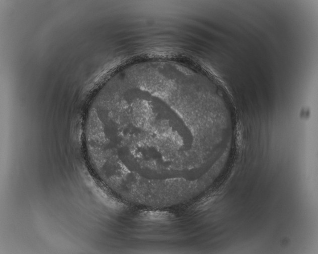 X0000111630637200907311228