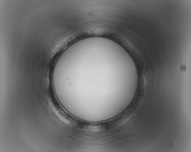 X0000111630638200907311228