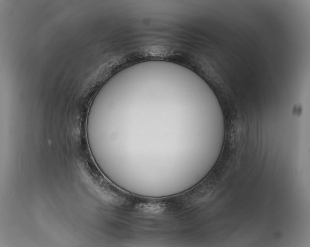 X0000111630639200907311228