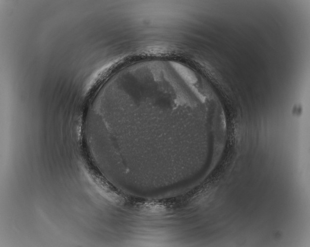 X0000111630640200907311228