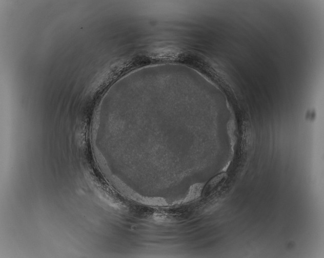 X0000111630641200907311228