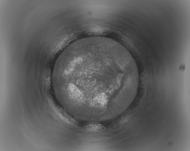 X0000111630642200907311228