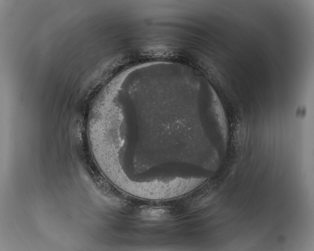 X0000111630643200907311228