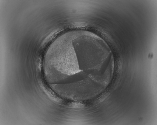 X0000111630644200907311228