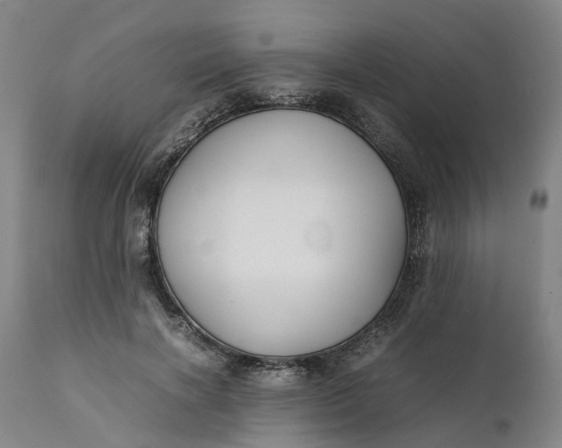 X0000111630646200907311228