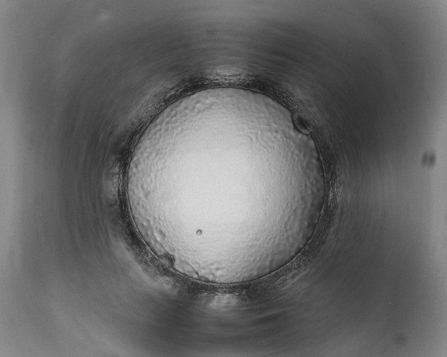 X0000111630647200907311228