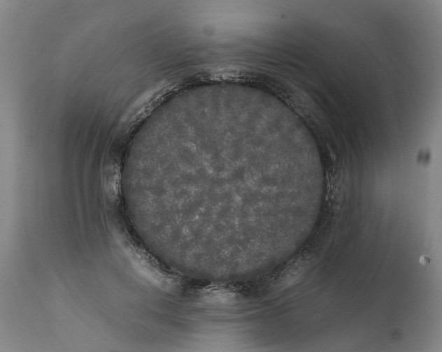 X0000111630648200907311228