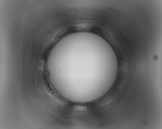 X0000111630649200907311228