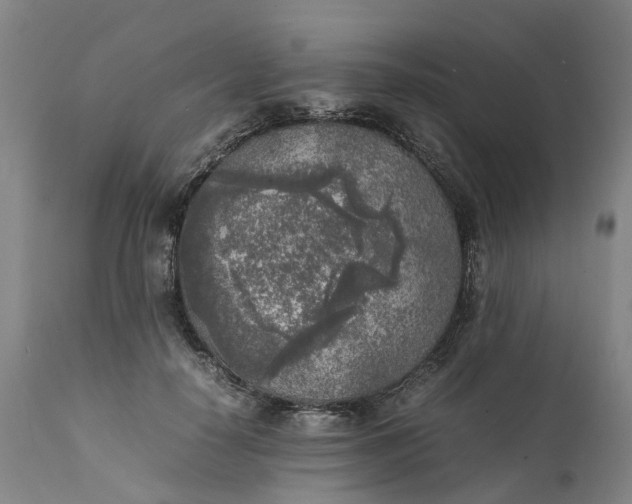 X0000111630650200907311228