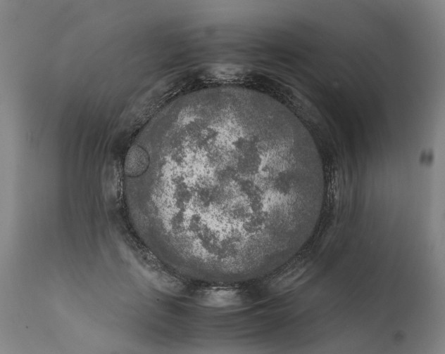 X0000111630651200907311228