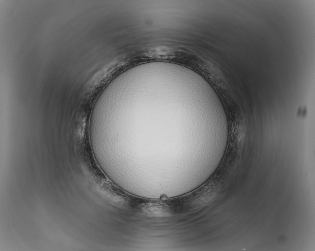 X0000111630652200907311229