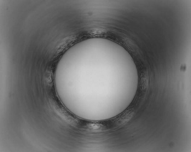 X0000111630654200907311229