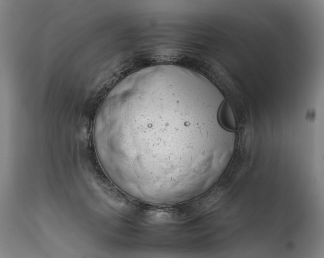 X0000111630655200907311229