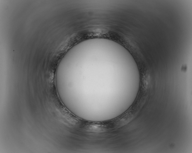 X0000111630657200907311229