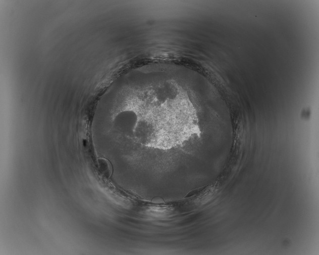 X0000111630659200907311229