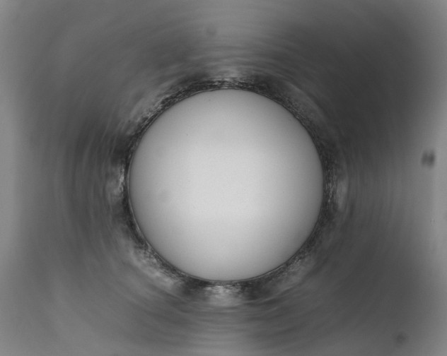 X0000111630660200907311229