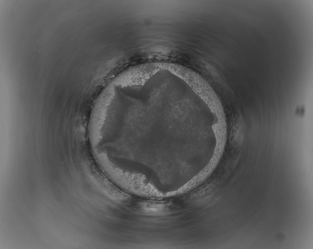 X0000111630661200907311229