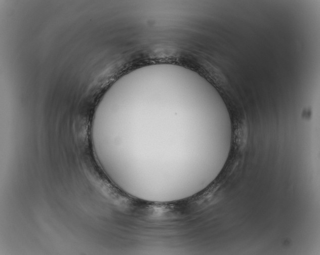 X0000111630662200907311229