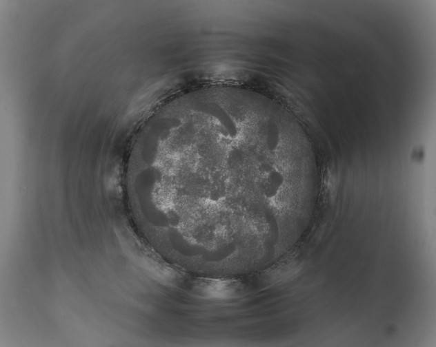 X0000111630663200907311229