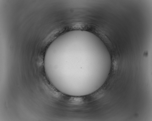 X0000111630665200907311229