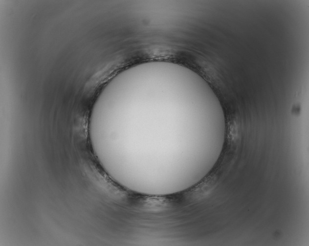 X0000111630666200907311229