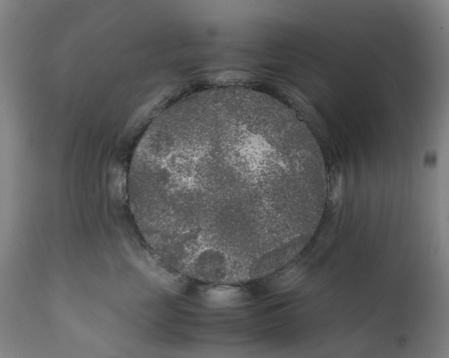 X0000111630669200907311229