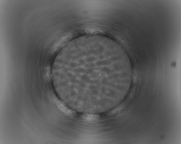 X0000111630670200907311229