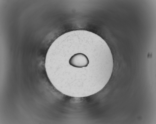 X0000111630672200907311229