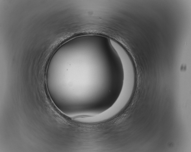 X0000111630673200907311228