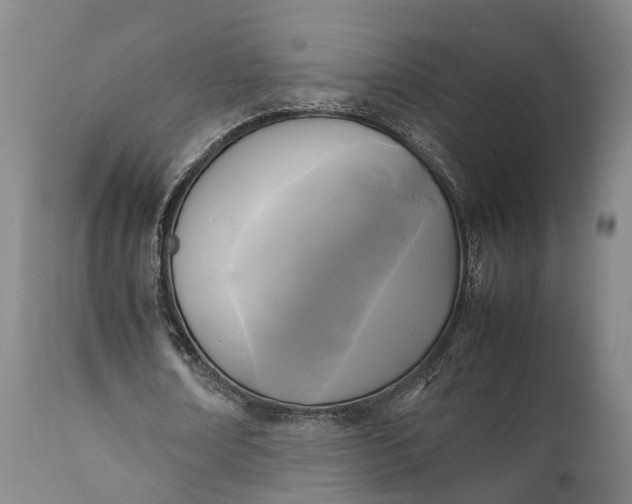 X0000111630674200907311228