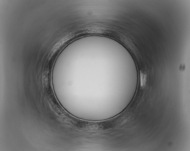 X0000111630675200907311228